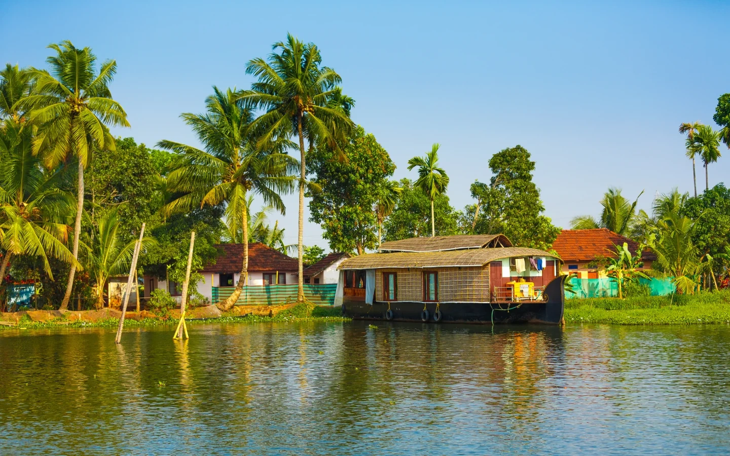 Discover the Real India