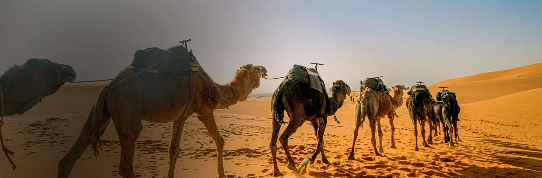 Rajasthan Complete Tour 14D/13N