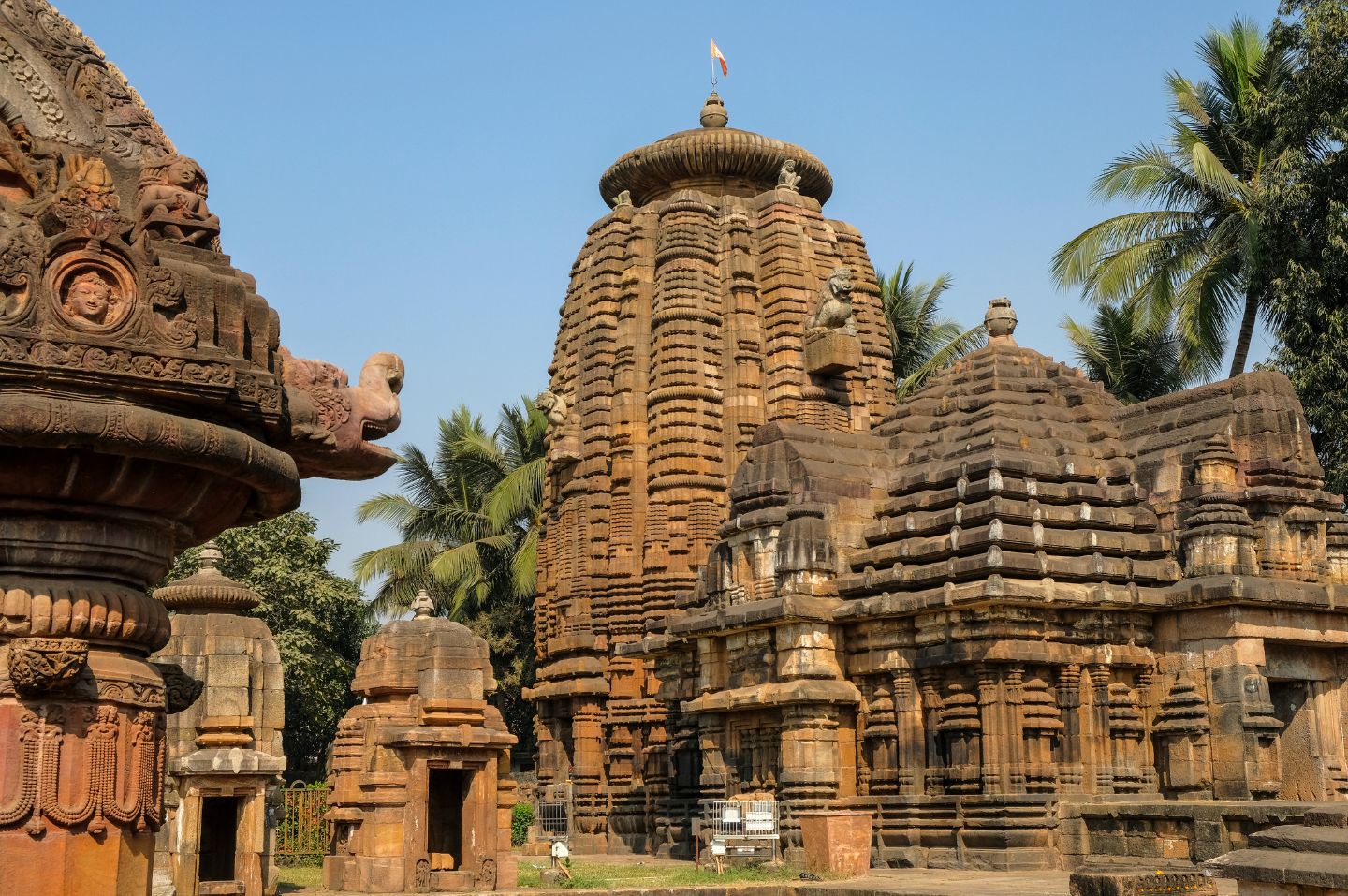 Magic Of Orissa